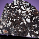 Illustration for article titled 30 Starry Wonders Hiding Inside of Dull Meteorites